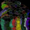 3dcell.gif